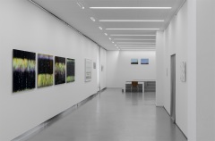 dasein07